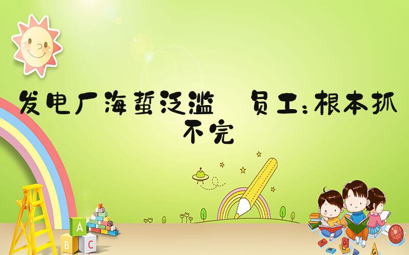 发电厂海蜇泛滥 员工：根本抓不完